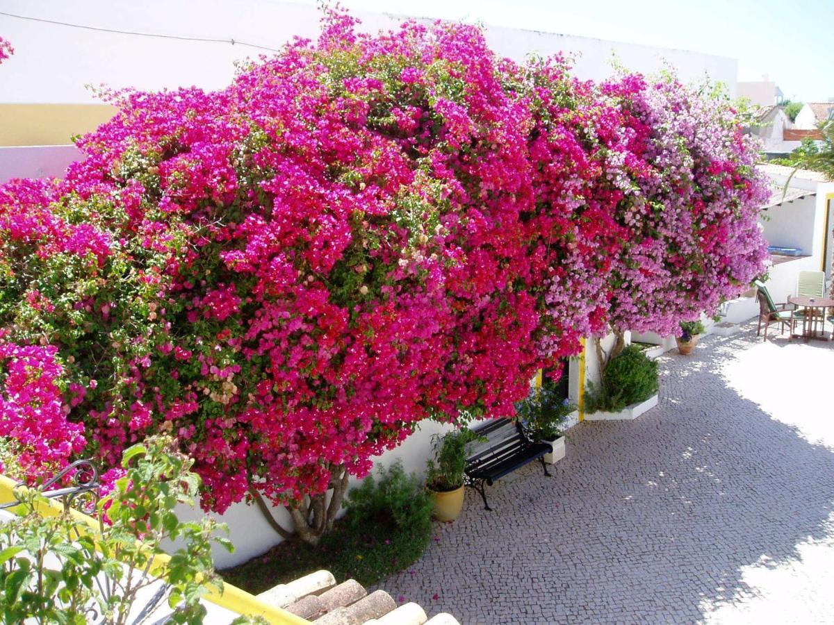 Hotel Rio Arade Algarve Manor House Estômbar Exteriér fotografie