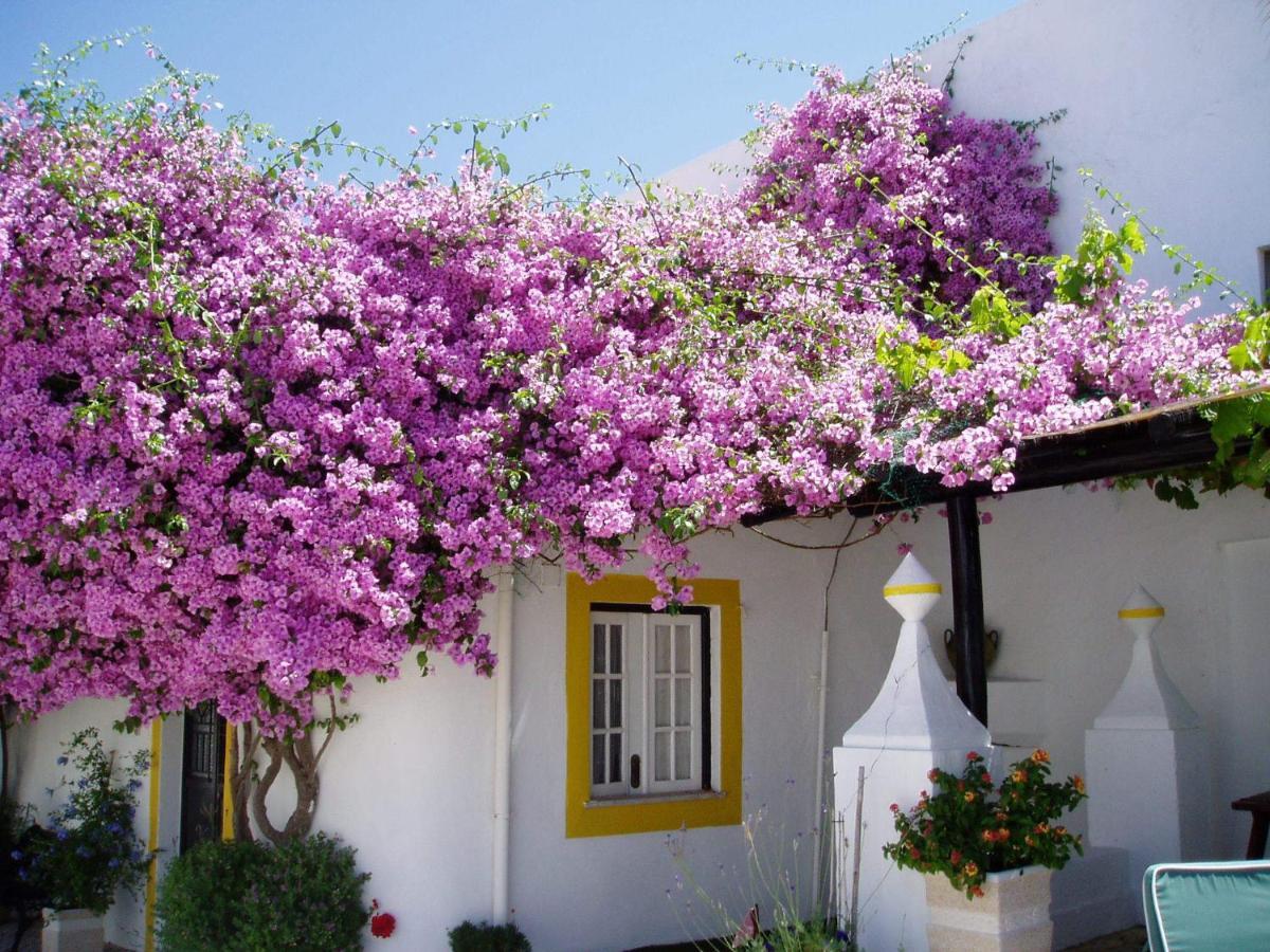 Hotel Rio Arade Algarve Manor House Estômbar Exteriér fotografie