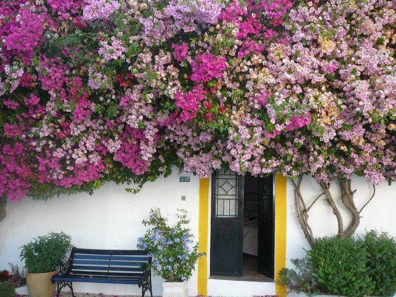 Hotel Rio Arade Algarve Manor House Estômbar Exteriér fotografie
